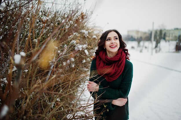 夕方の冬の日の茂みに対して屋外の緑のセーターと赤いスカーフのブルネットの女の子。