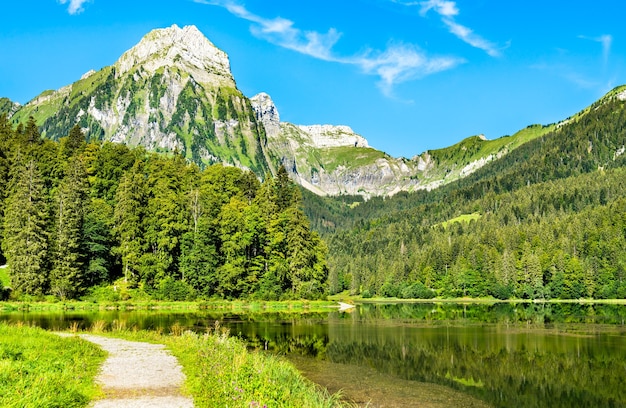 Brunnelistock-berg bij Obersee-meer in Zwitserse Alpen