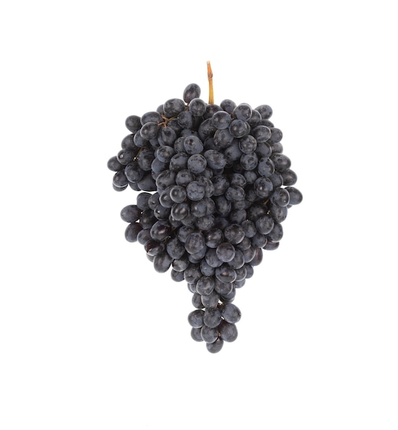 brush black grapes background