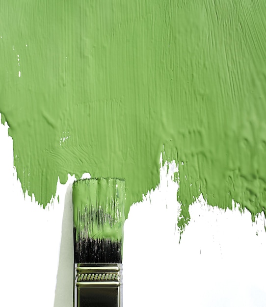 Brush green painted background on white paper