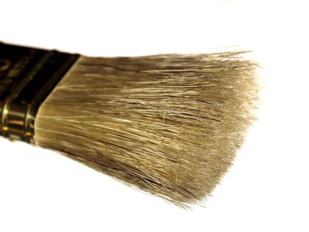 Brush isolated over white