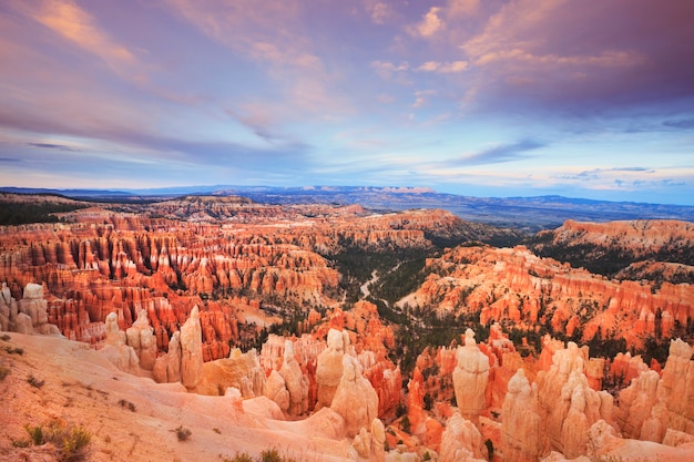 Bryce Canyon Landscape