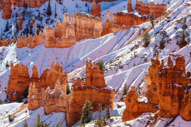 Bryce canyon met sneeuw in het winterseizoen.