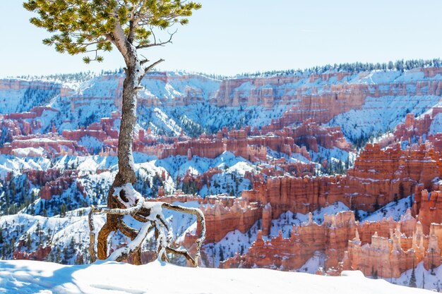 Bryce canyon met sneeuw in het winterseizoen.