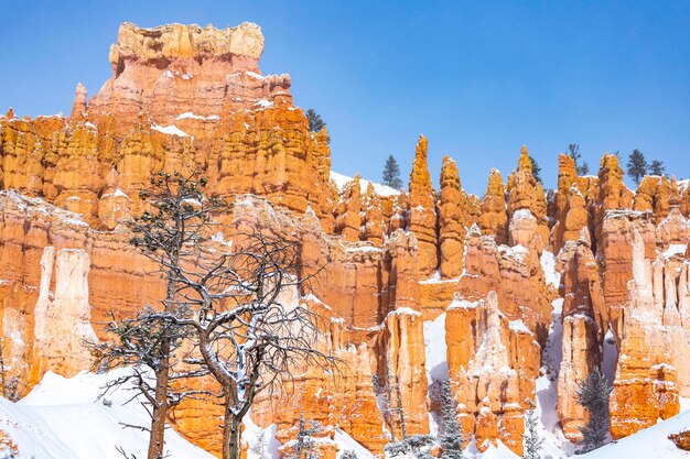 Bryce Canyon National Park in de winter, unieke rotsformaties in Utah bedekt met sneeuw, oranje rotsen