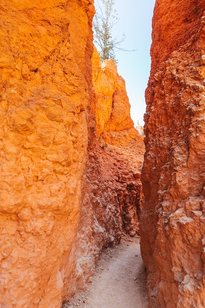 Foto paesaggio del bryce canyon national park nello utah stati uniti brice canyon nel navaho loop trail