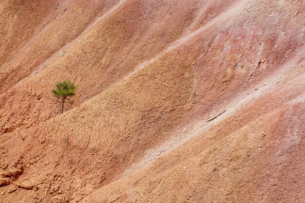 Bryce Canyon National Park Utah USA