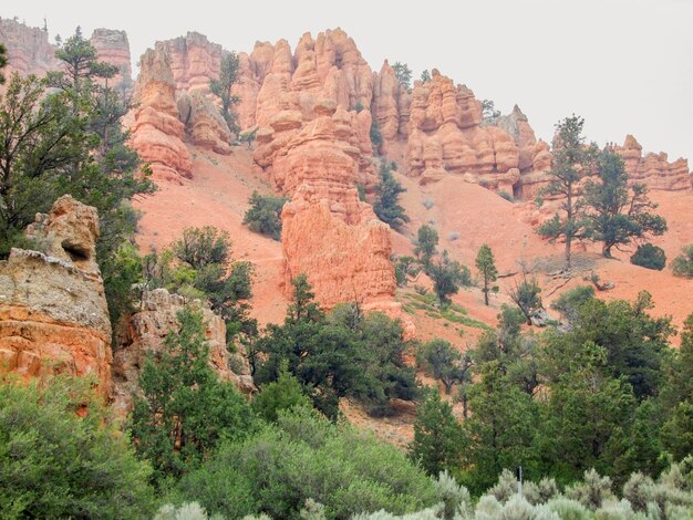 Bryce Canyon National Park