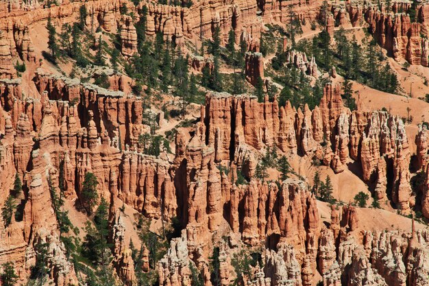 Bryce Canyon in Utah, USA