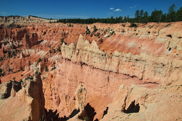 Bryce Canyon nello Utah, Stati Uniti d'America