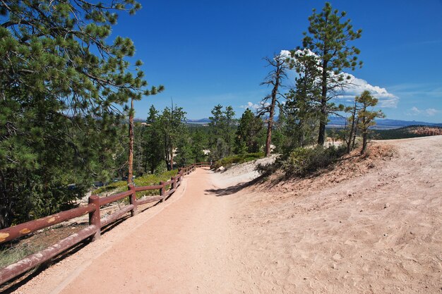 Bryce Canyon nello Utah, Stati Uniti d'America