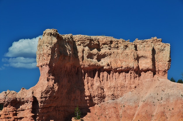 Bryce Canyon in Utah, USA