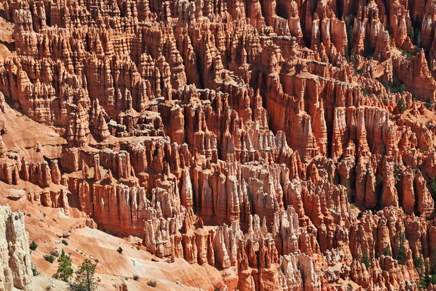 Bryce Canyon in Utah, USA