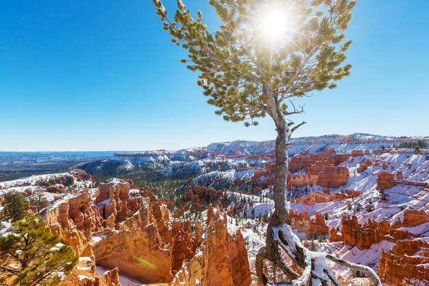 Bryce canyon  with snow in winter season.