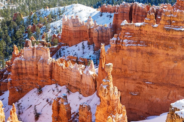 Bryce canyon con neve nella stagione invernale.