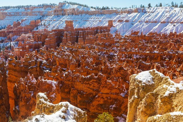 Bryce canyon with snow in winter season.