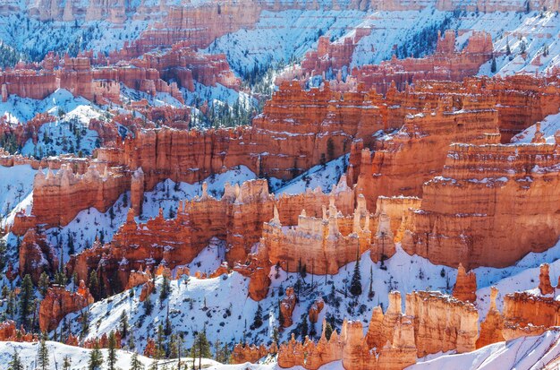 Bryce canyon with snow in winter season.