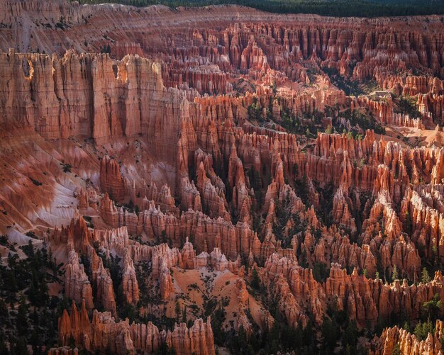 Foto il canyon di bryce