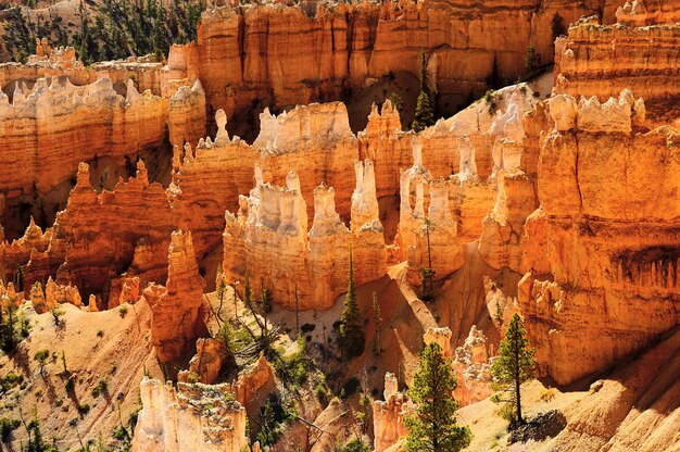 Bryce canyon