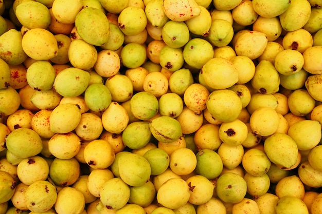 Buayaba o guayabilla fruit Psidium guajava Linnaeus