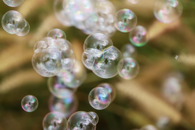 Foto bubbels en natuurlijke achtergrond overdag