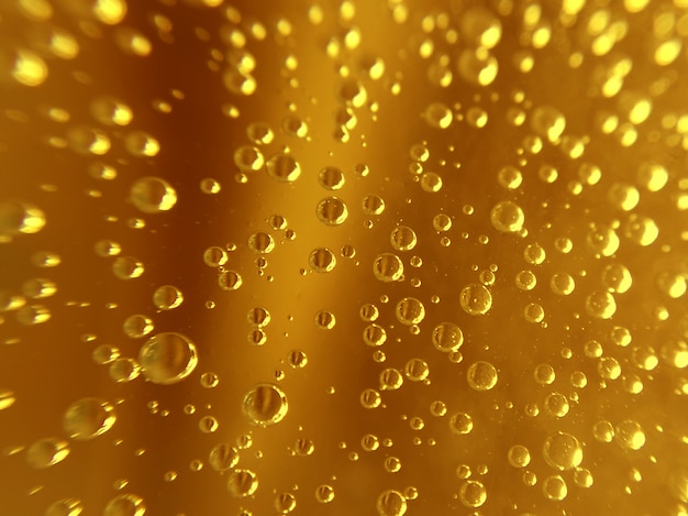 bubbles from beer