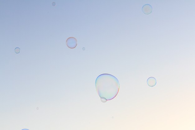 Bubbles