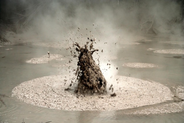 Bubbling mud in Rotorua