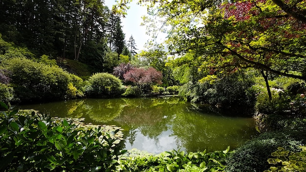 Foto il giardino di buchart