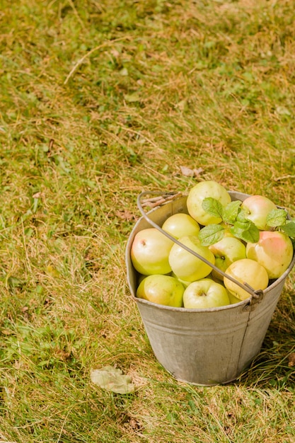 a bucket of apples with a strawberries in it