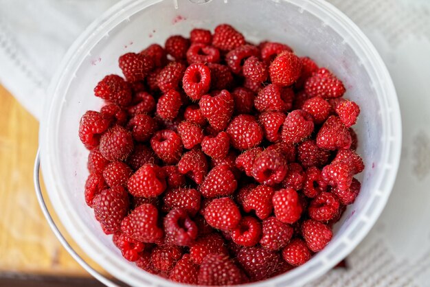 Bucket of fresh raspberries background close-up