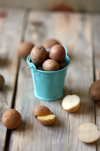 A bucket of potatoes. Baby potatoes. Rustic style. Potato harvest concept.