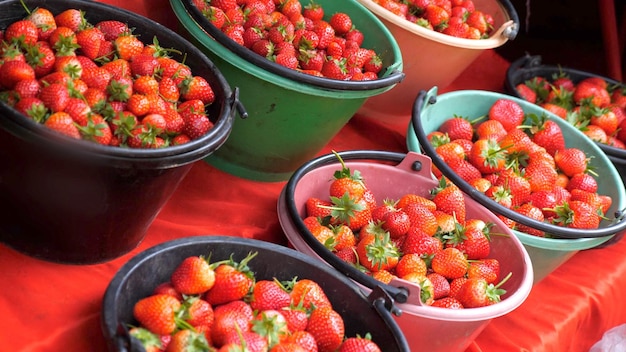 Buckets with red ripe strawberries for sale at outdoor market strawberry season