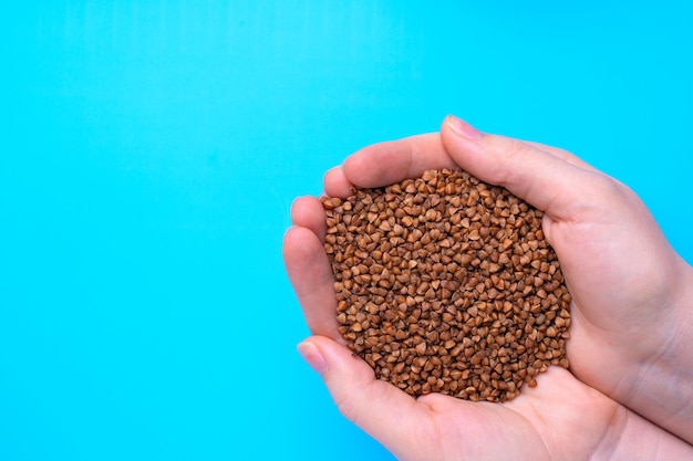 Buckwheat in female hands on a blue background