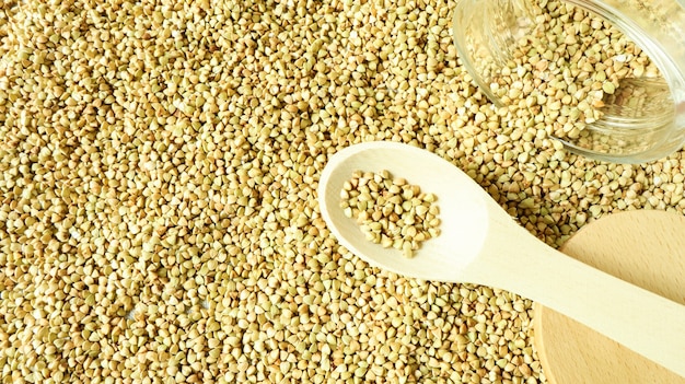 Buckwheat scattered background, raw green cereal in a wooden spoon. Healthy groats. Organic raw non-fried vegetarian food. The concept of a healthy and balanced diet. Diet product. healthy groats.