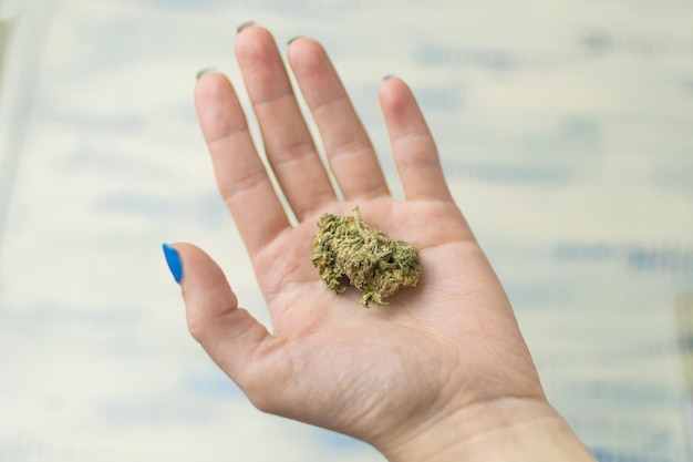 A bud of marijuana on a woman's hand