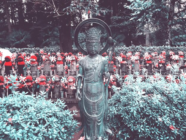 Foto e juzo al tempio di buda zojoji