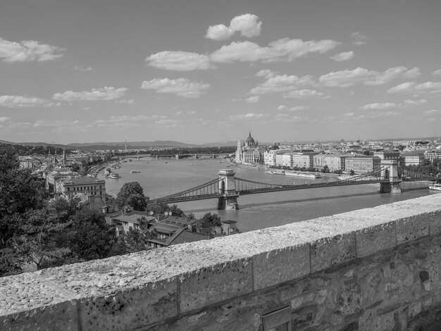 Budaest at the danube