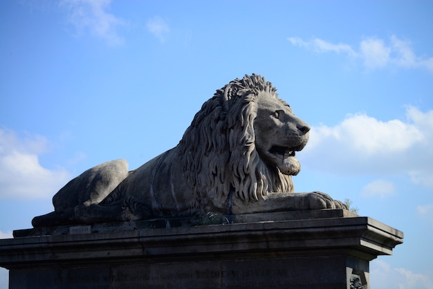 Budapest Lion