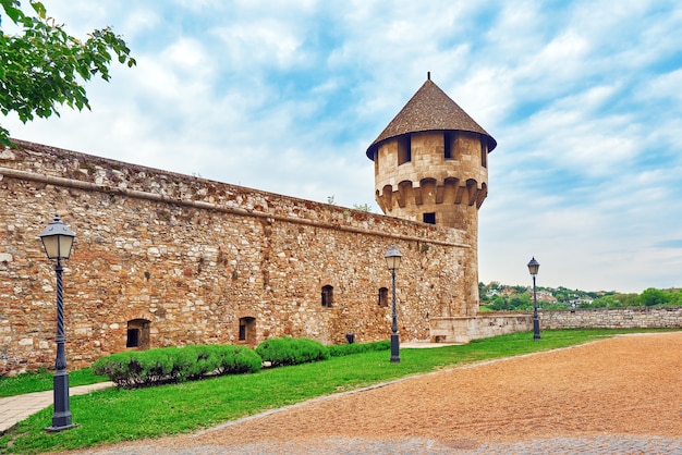 Здание Королевского замка в Будапеште в дневное время. Венгрия.