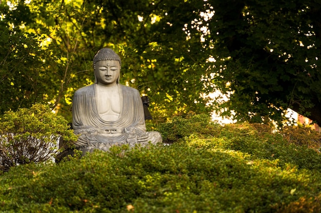 樹木や植物に囲まれた仏像