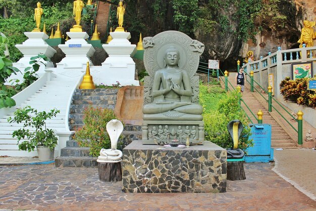 写真 虎の洞窟の寺院のコブラ像の中の仏像