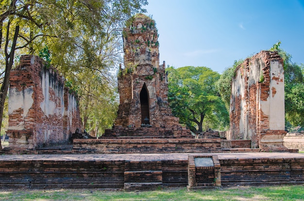 Buddha a ayutthaya, tailandia.