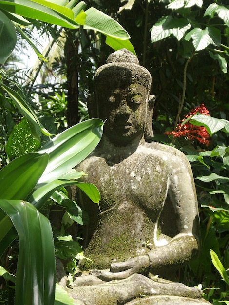 Будда Бали Индонезия Каменная статуя Будды в тропическом саду Скульптура лица Будды в лесопарке