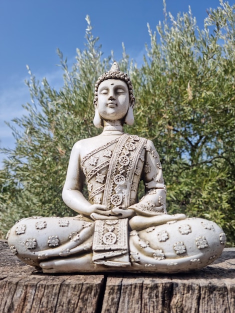 Buddha bust upright on wooden pedestal