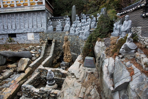 2023 年 2 月 18 日に韓国の釜山または釜山のギジャンにある海東龍宮寺で、韓国人旅行者のための希望の池にある仏像と神の天使像が、希望の神聖な儀式のためにコインを投げます。