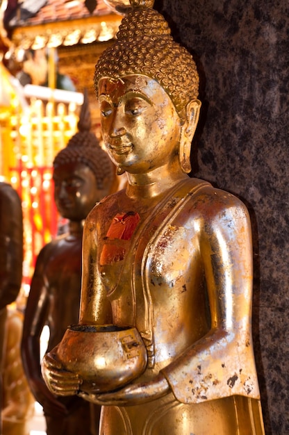 Buddha Standing Color Gold