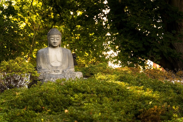 樹木や植物の反対側にある仏像