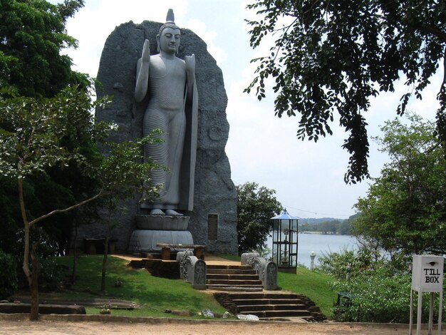 Photo buddha statue by tree against clear sky