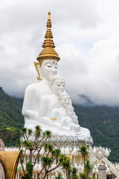 Статуя Будды имеет большие белые пять тел на горе, окруженной природой с облачным туманом, в храме Ват Пхра Тхат Пха Сорн Кео - туристическая достопримечательность в Кхао Кхо, Пхетчабун, Таиланд.